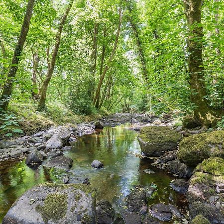 The Forge Villa Llanfair Clydogau Dış mekan fotoğraf