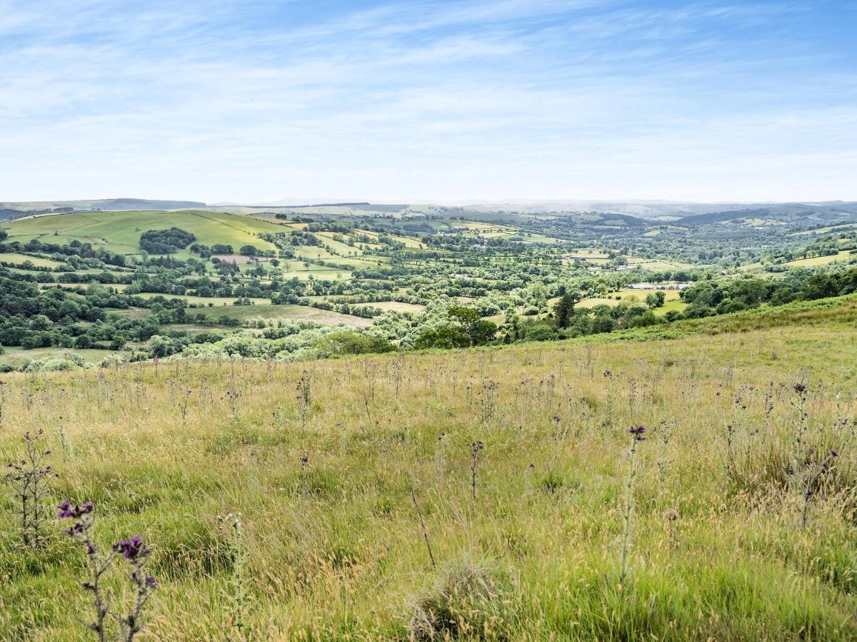 The Forge Villa Llanfair Clydogau Dış mekan fotoğraf