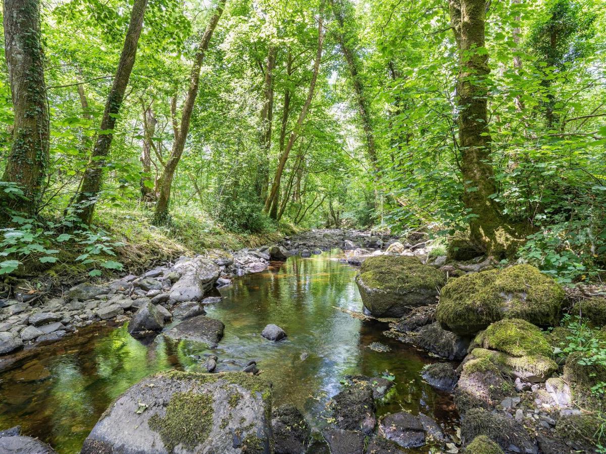 The Forge Villa Llanfair Clydogau Dış mekan fotoğraf